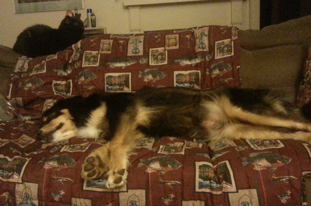 Rocky & Lily - September 2016